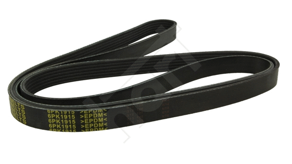 V-Ribbed Belt (368 971)