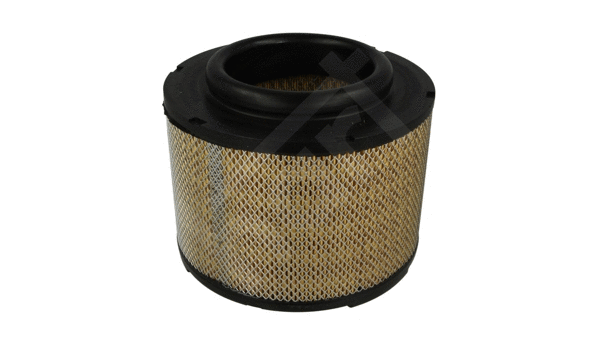 Air Filter (358 427)