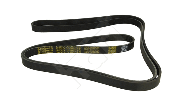 V-Ribbed Belt (917 785)