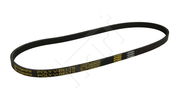 V-Ribbed Belt (334 264)