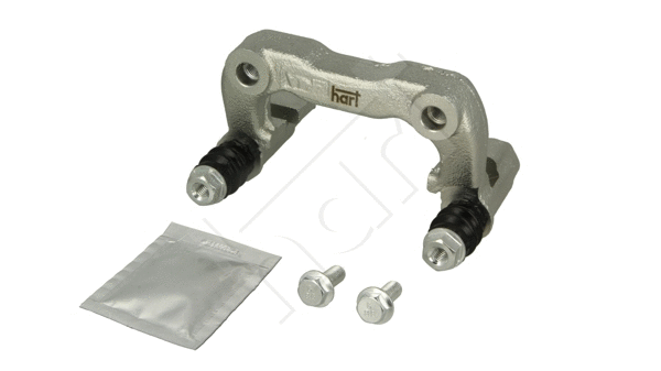 Bracket, brake caliper (257 766)