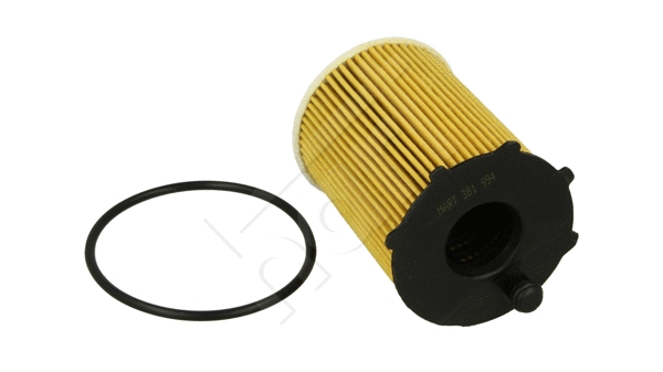 Oil Filter (381 994)