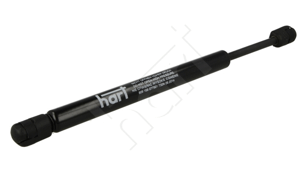 Gas Spring, boot/cargo area (809 168)