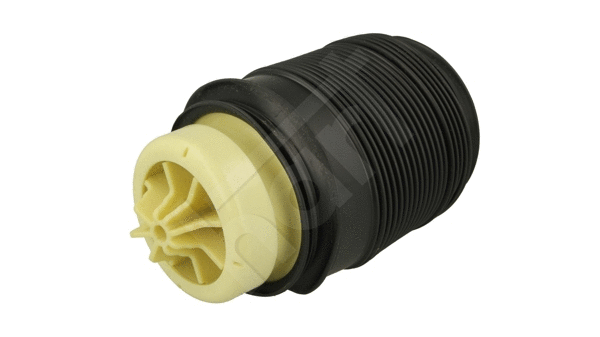 Air Spring, suspension (813 019)