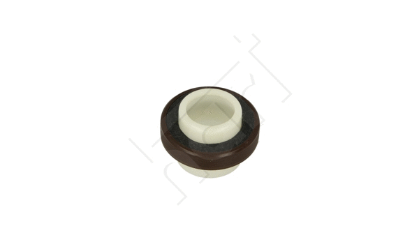 Shaft Seal, crankshaft (720 202)