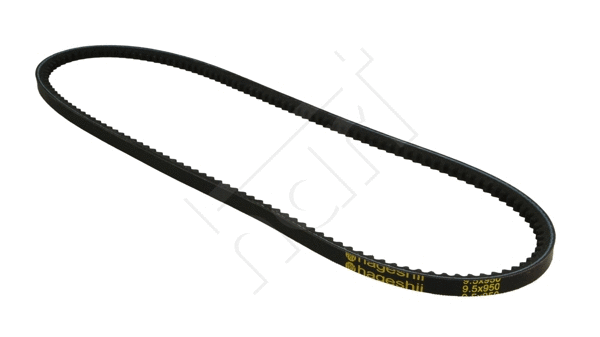 V-Belt (305 567)