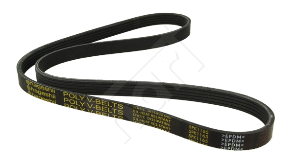 V-Ribbed Belt (334 299)