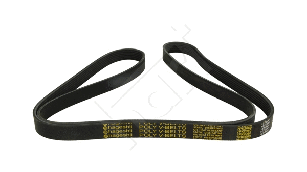 V-Ribbed Belt (917 786)
