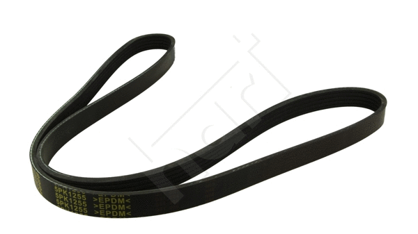 V-Ribbed Belt (368 872)