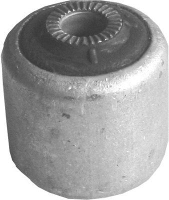 Mounting, control/trailing arm (423 904)
