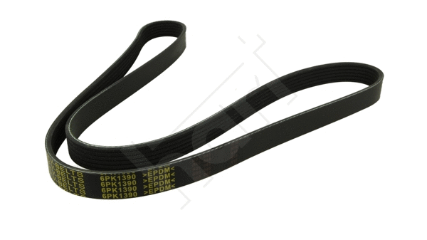 V-Ribbed Belt (368 935)