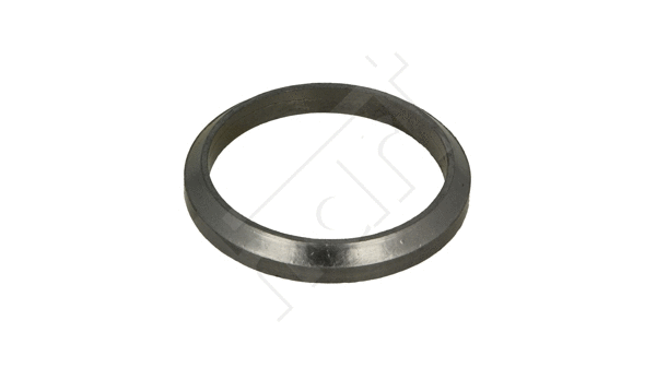 Seal Ring, exhaust pipe (480 918)