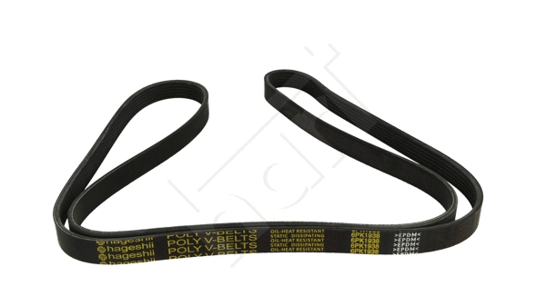 V-Ribbed Belt (917 783)