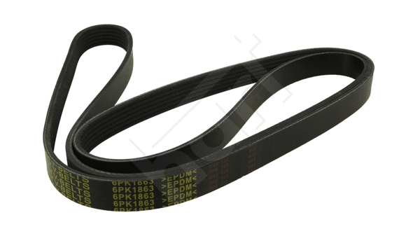 V-Ribbed Belt (368 968)