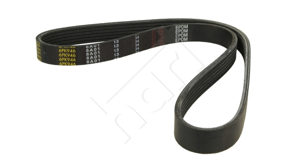 V-Ribbed Belt (334 311)