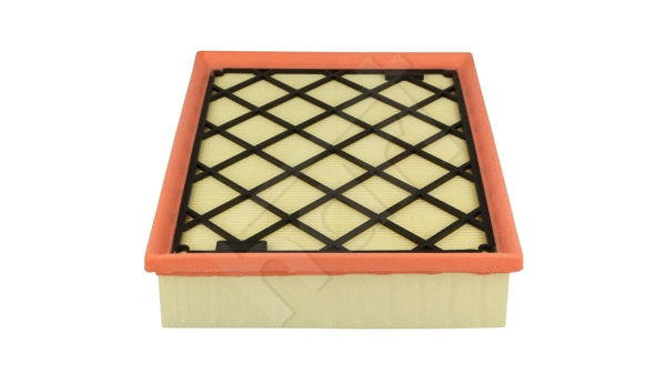 Air Filter (907 559)