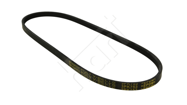 V-Ribbed Belt (368 835)