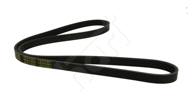 V-Ribbed Belt (368 841)
