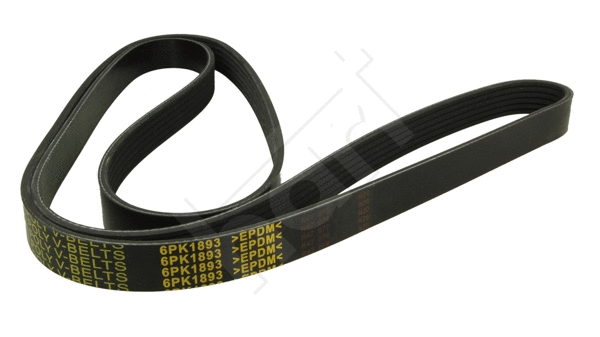 V-Ribbed Belt (368 970)