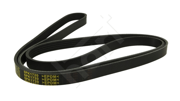 V-Ribbed Belt (368 881)