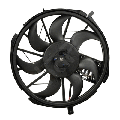 Fan, engine cooling (641 096)