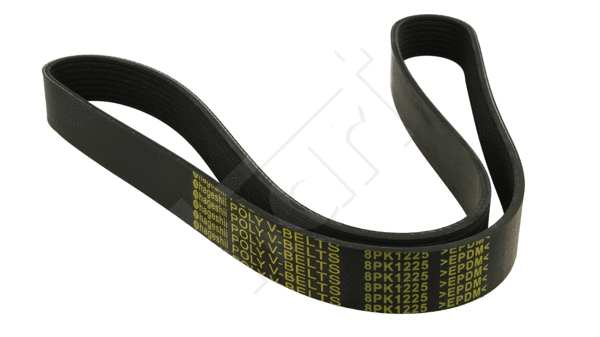 V-Ribbed Belt (369 020)
