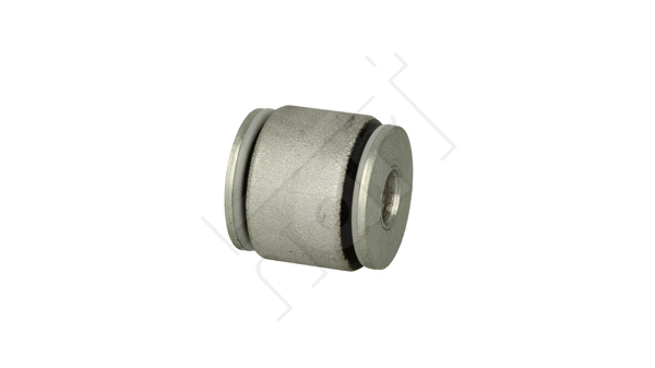 Mounting, control/trailing arm (481 630)
