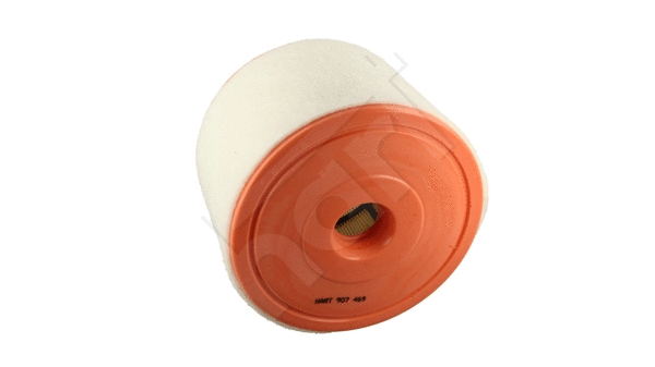 Air Filter (907 469)