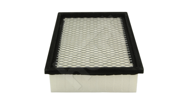 Air Filter (340 818)