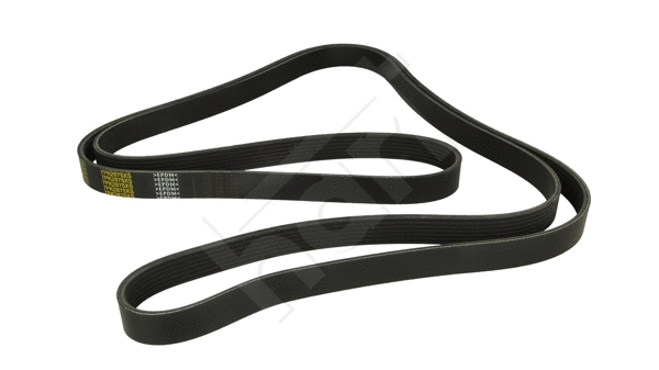 V-Ribbed Belt (917 778)