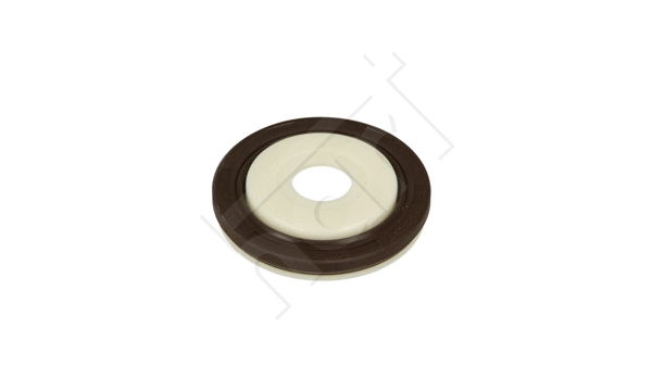 Shaft Seal, crankshaft (720 251)