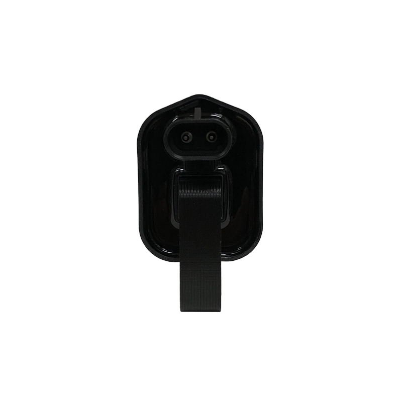 Ignition Coil (IC115)