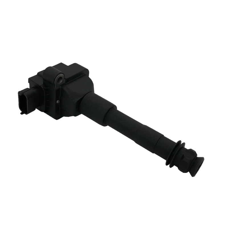 Ignition Coil (IC307)