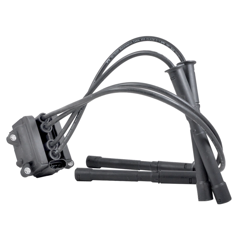 Ignition Coil (IC221)