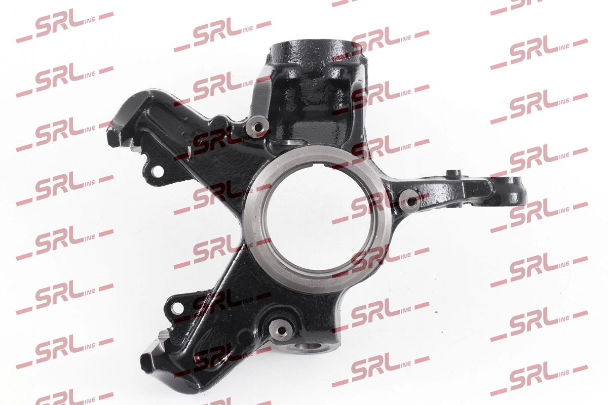 Steering Knuckle, wheel suspension (ZW-A009L)