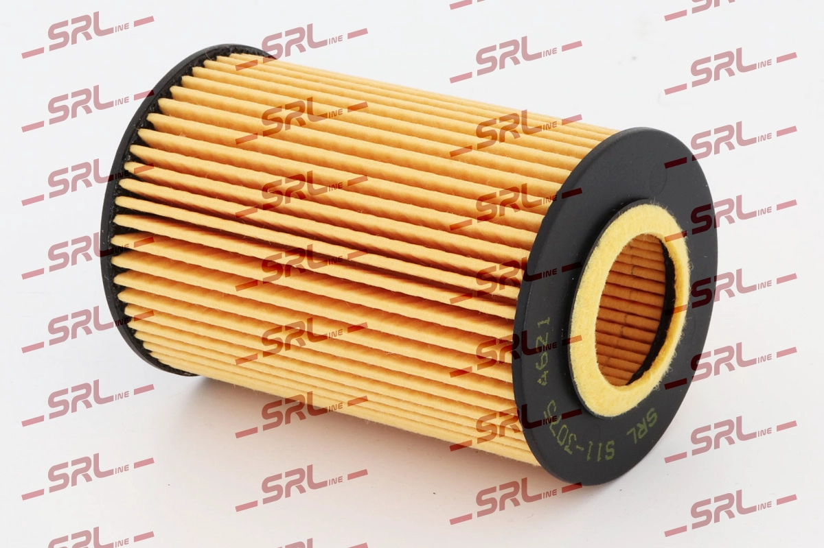 Oil Filter (S11-3075)