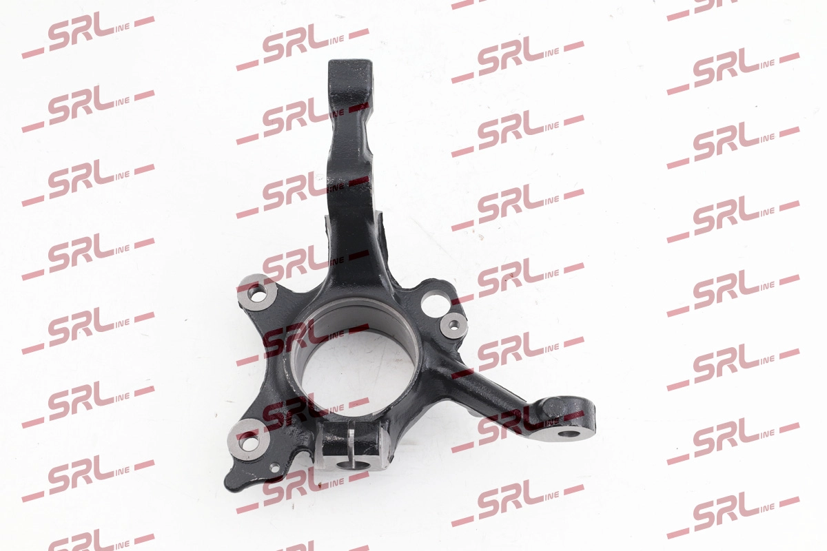 Steering Knuckle, wheel suspension (ZW-V004P)