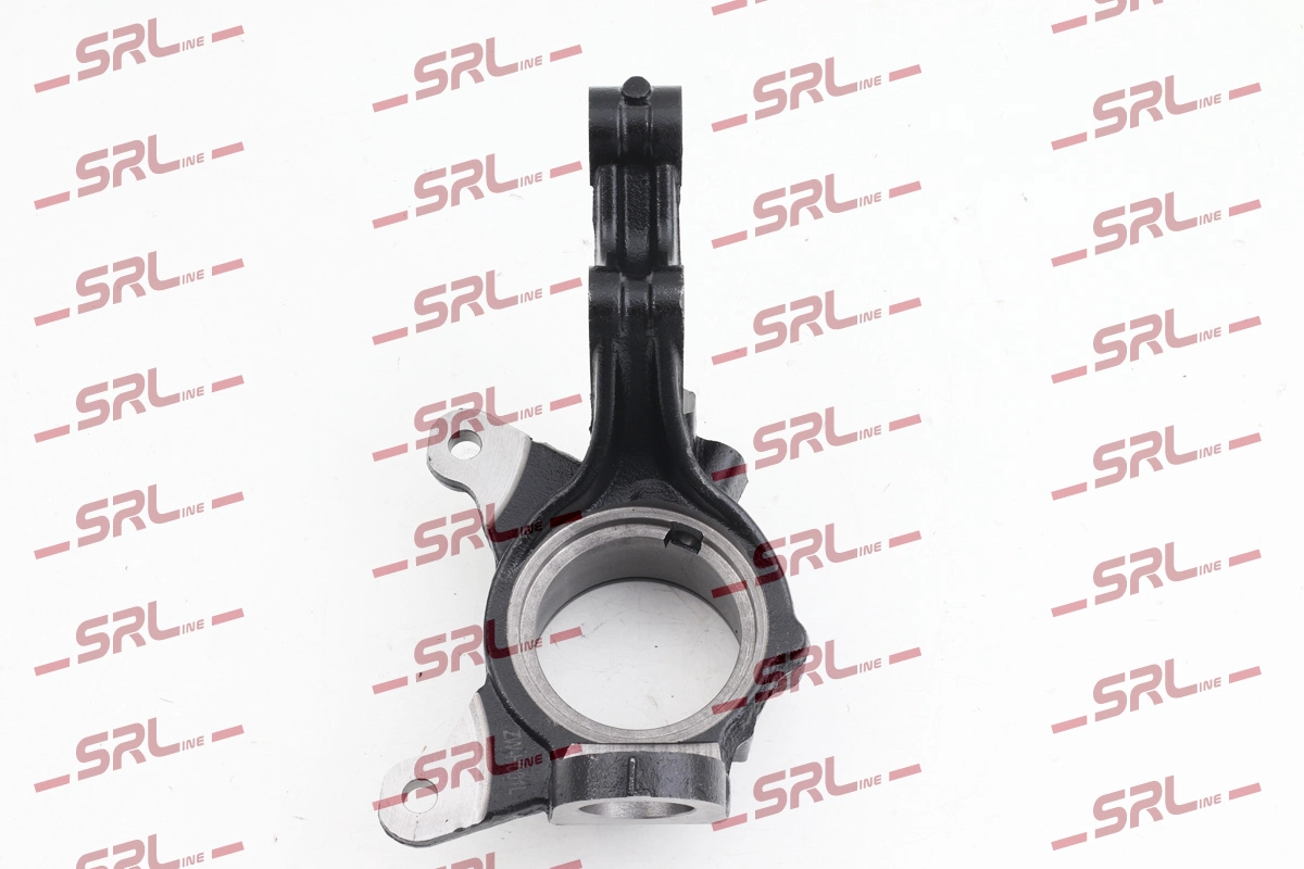 Steering Knuckle, wheel suspension (ZW-H001L)