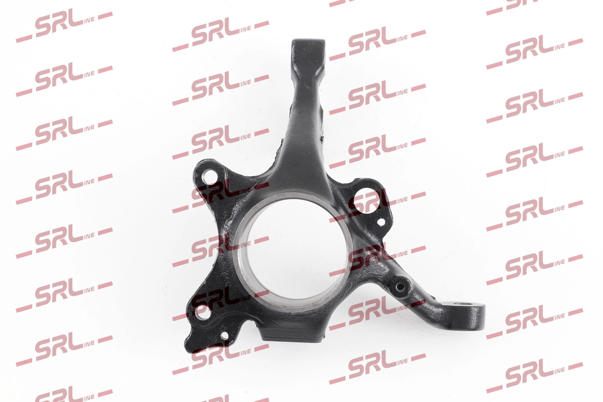 Steering Knuckle, wheel suspension (ZW-V004L)