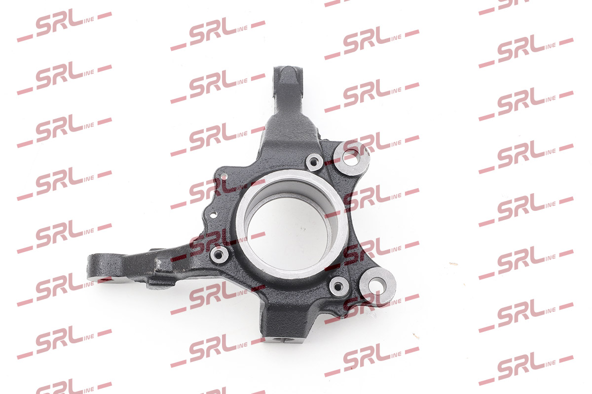 Steering Knuckle, wheel suspension (ZW-P003P)