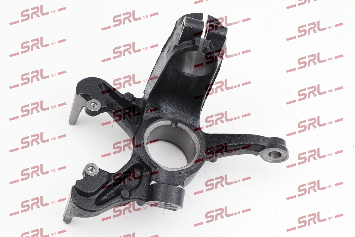 Steering Knuckle, wheel suspension (ZW-V006P)