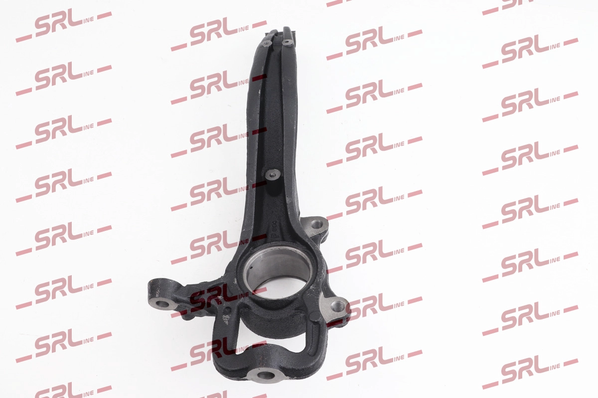 Steering Knuckle, wheel suspension (ZW-V005L)