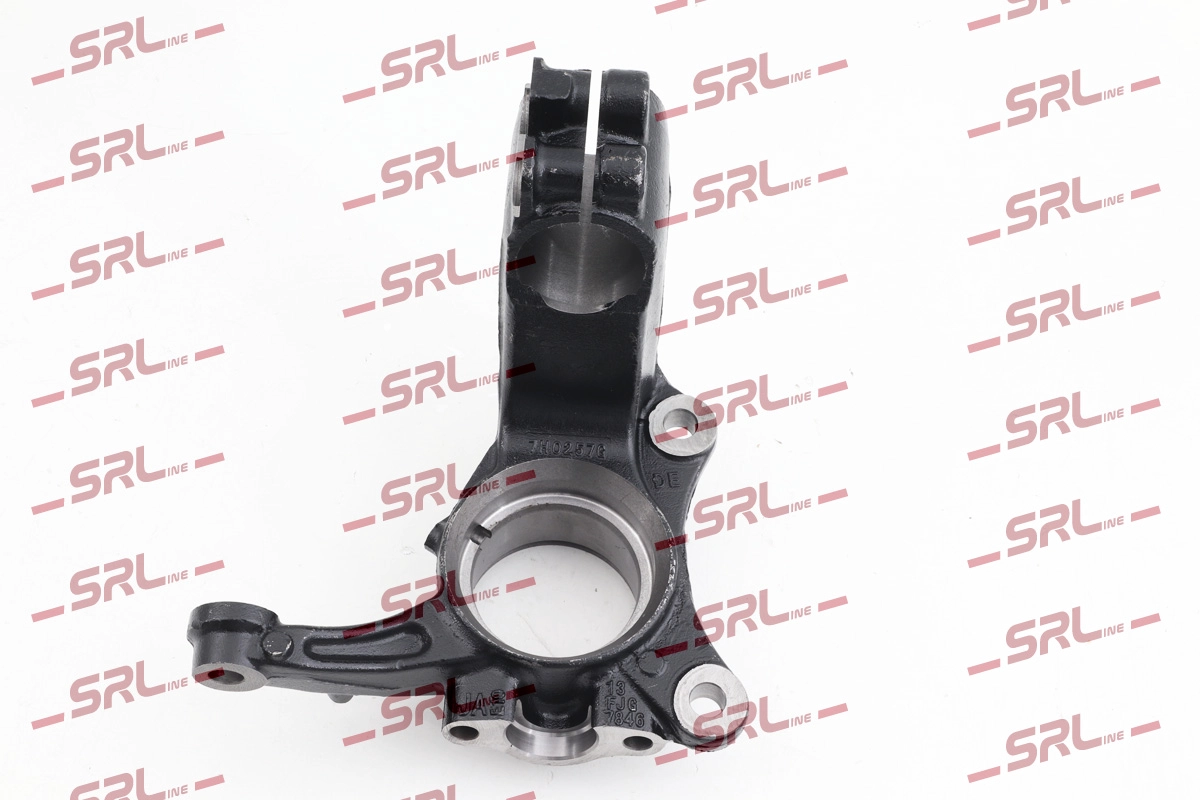 Steering Knuckle, wheel suspension (ZW-V007L)