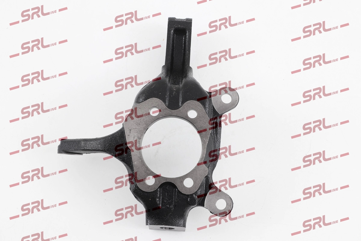 Steering Knuckle, wheel suspension (ZW-N001P)