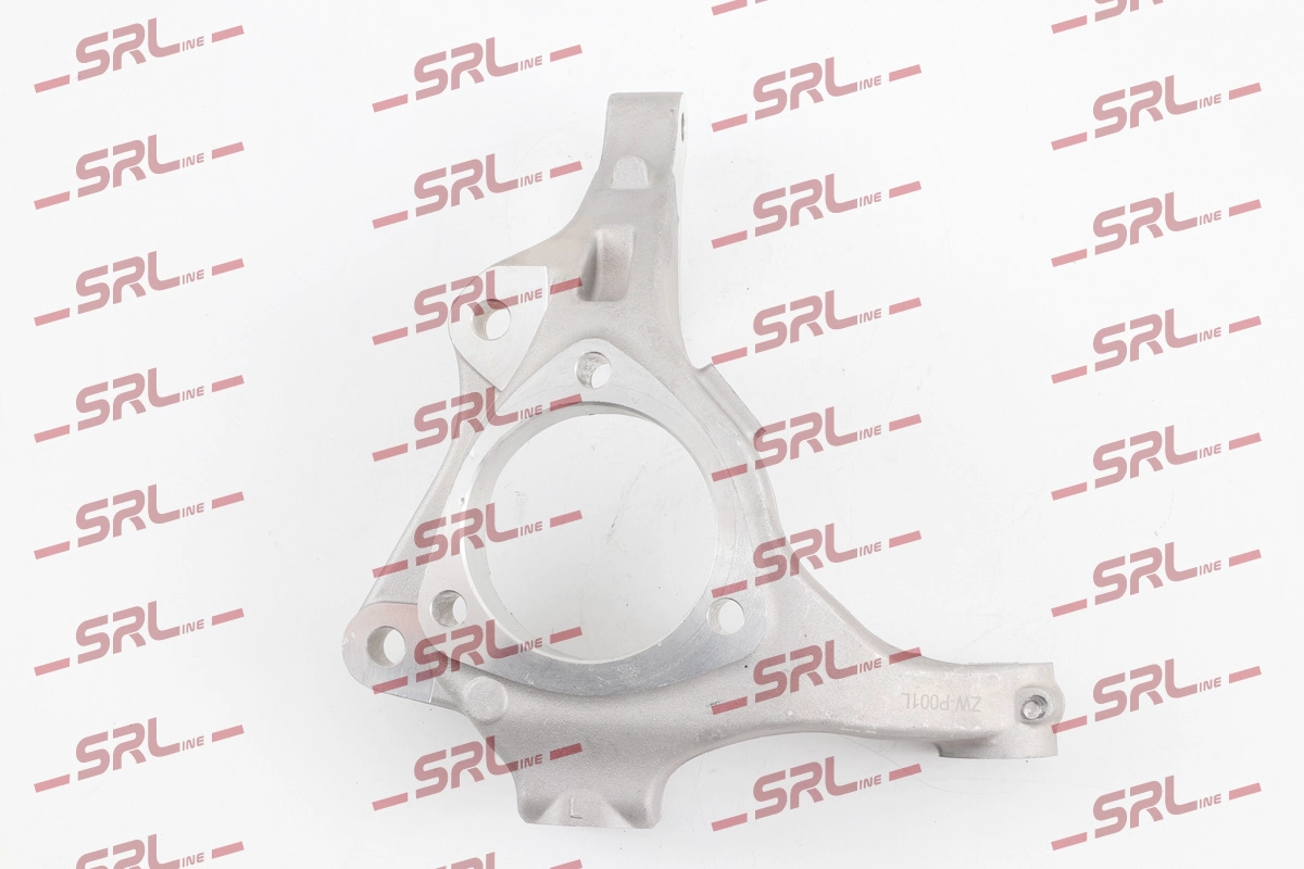 Steering Knuckle, wheel suspension (ZW-P001L)