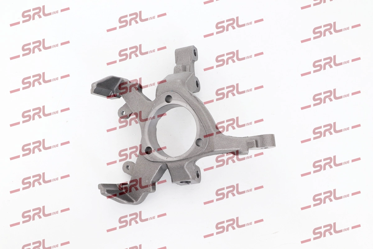 Steering Knuckle, wheel suspension (ZW-P010L)