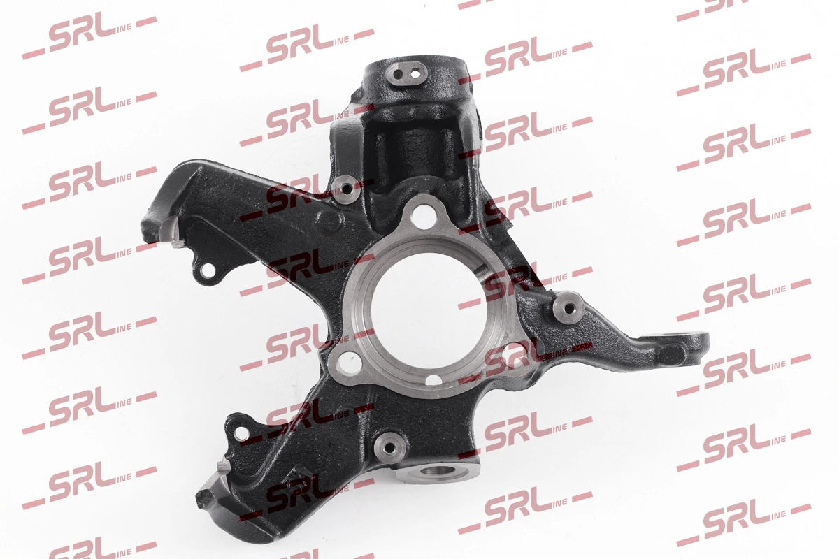 Steering Knuckle, wheel suspension (ZW-A005L)