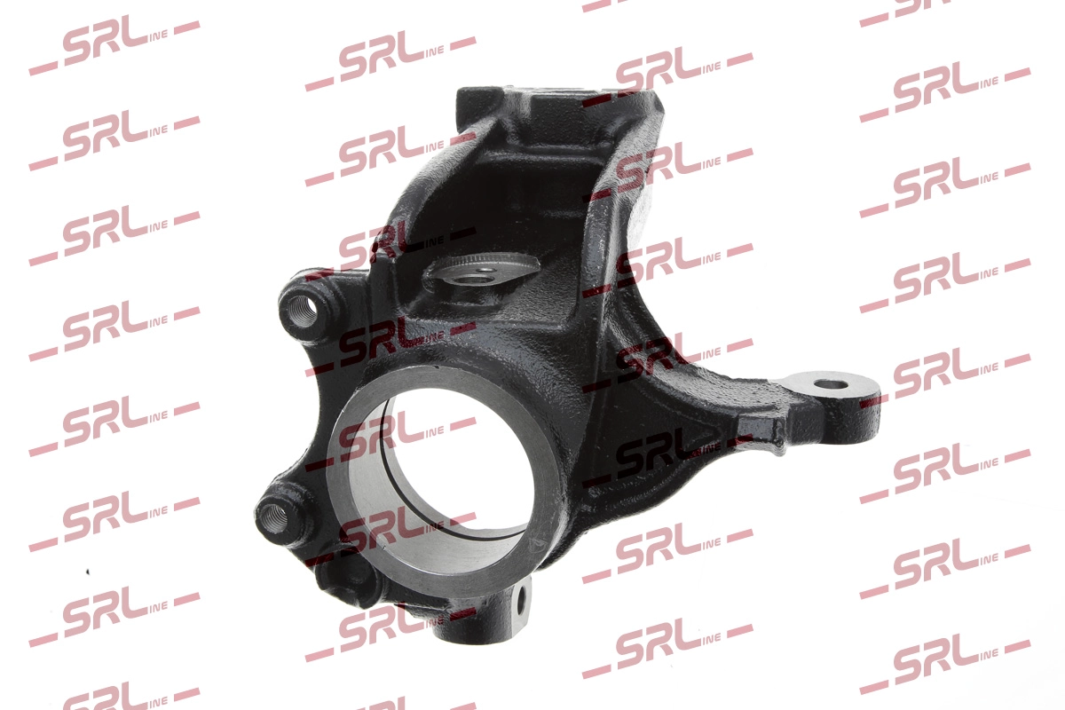 Steering Knuckle, wheel suspension (ZW-PE005L)