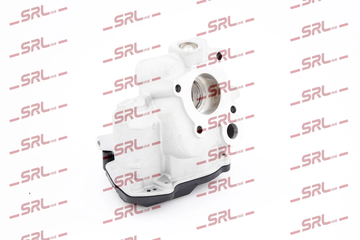 EGR Valve (SE07-0106)