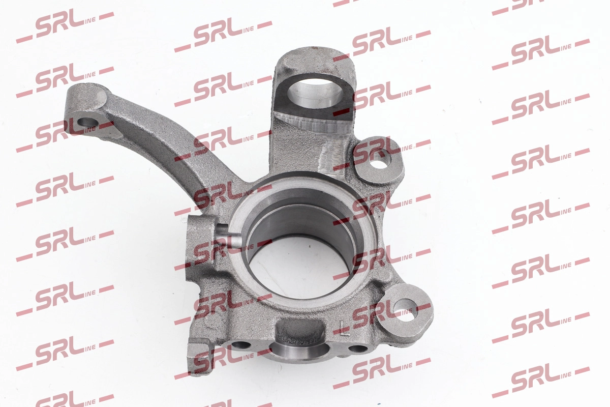 Steering Knuckle, wheel suspension (ZW-V008L)
